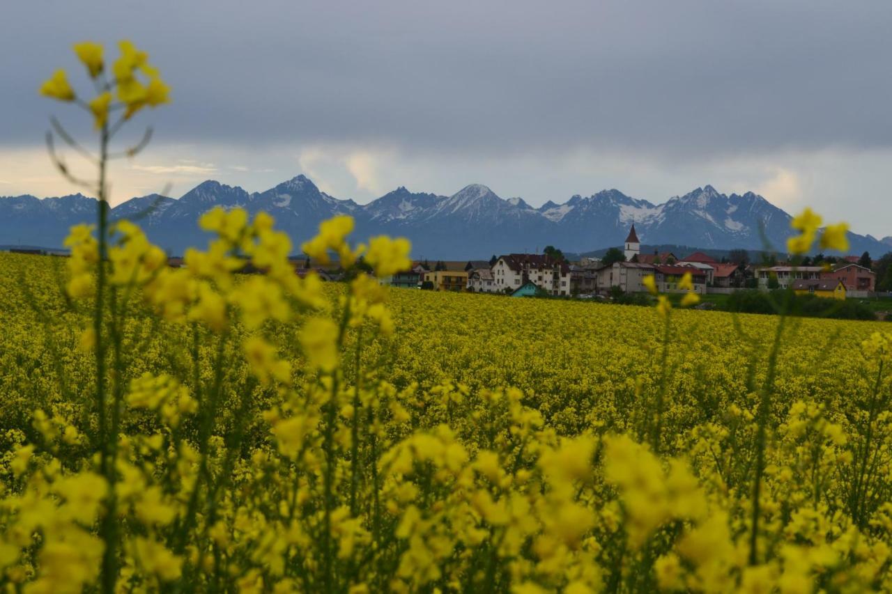 Penzion Thamasy Spišské Tomášovce Dış mekan fotoğraf