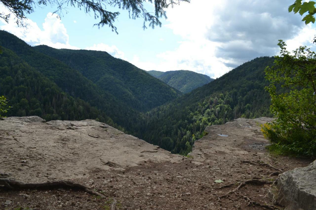 Penzion Thamasy Spišské Tomášovce Dış mekan fotoğraf