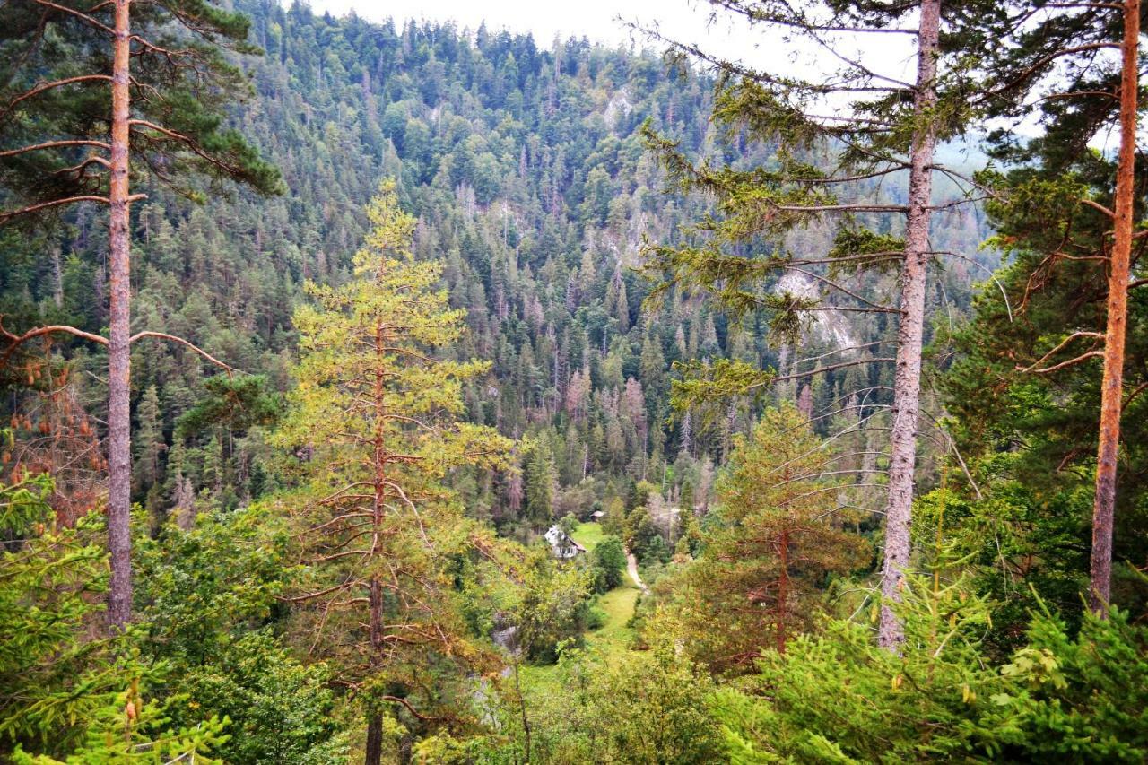 Penzion Thamasy Spišské Tomášovce Dış mekan fotoğraf