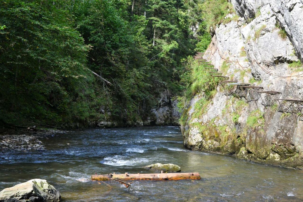 Penzion Thamasy Spišské Tomášovce Dış mekan fotoğraf