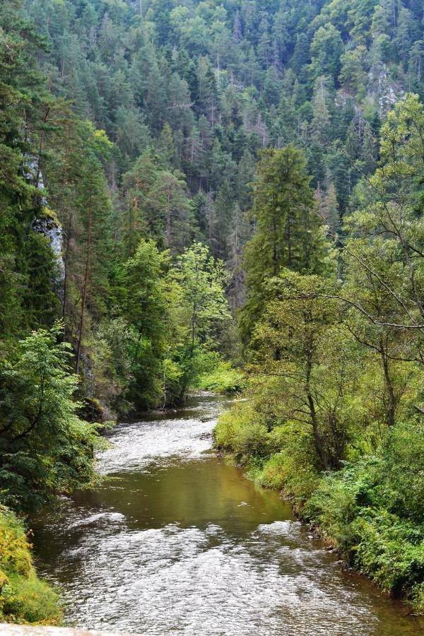 Penzion Thamasy Spišské Tomášovce Dış mekan fotoğraf